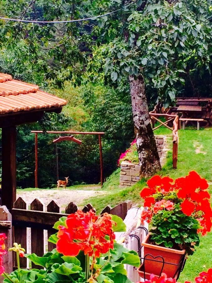 B&B La Presa Molino del Pallone Εξωτερικό φωτογραφία