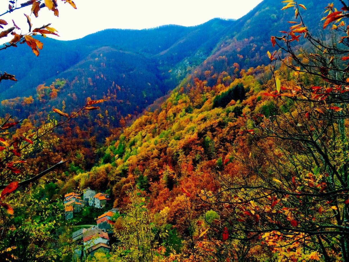 B&B La Presa Molino del Pallone Εξωτερικό φωτογραφία